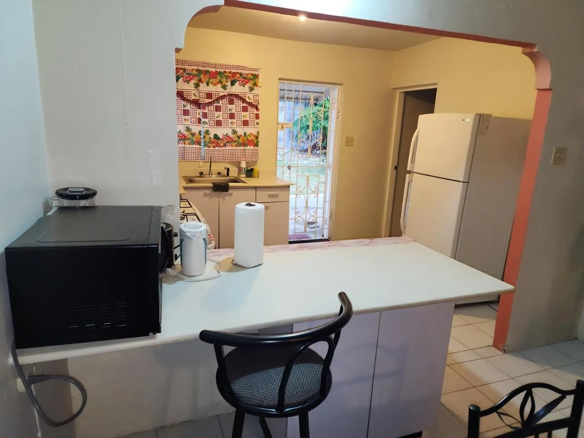 Relax And Unwind At Scenic Plateau Apartman Montego Bay